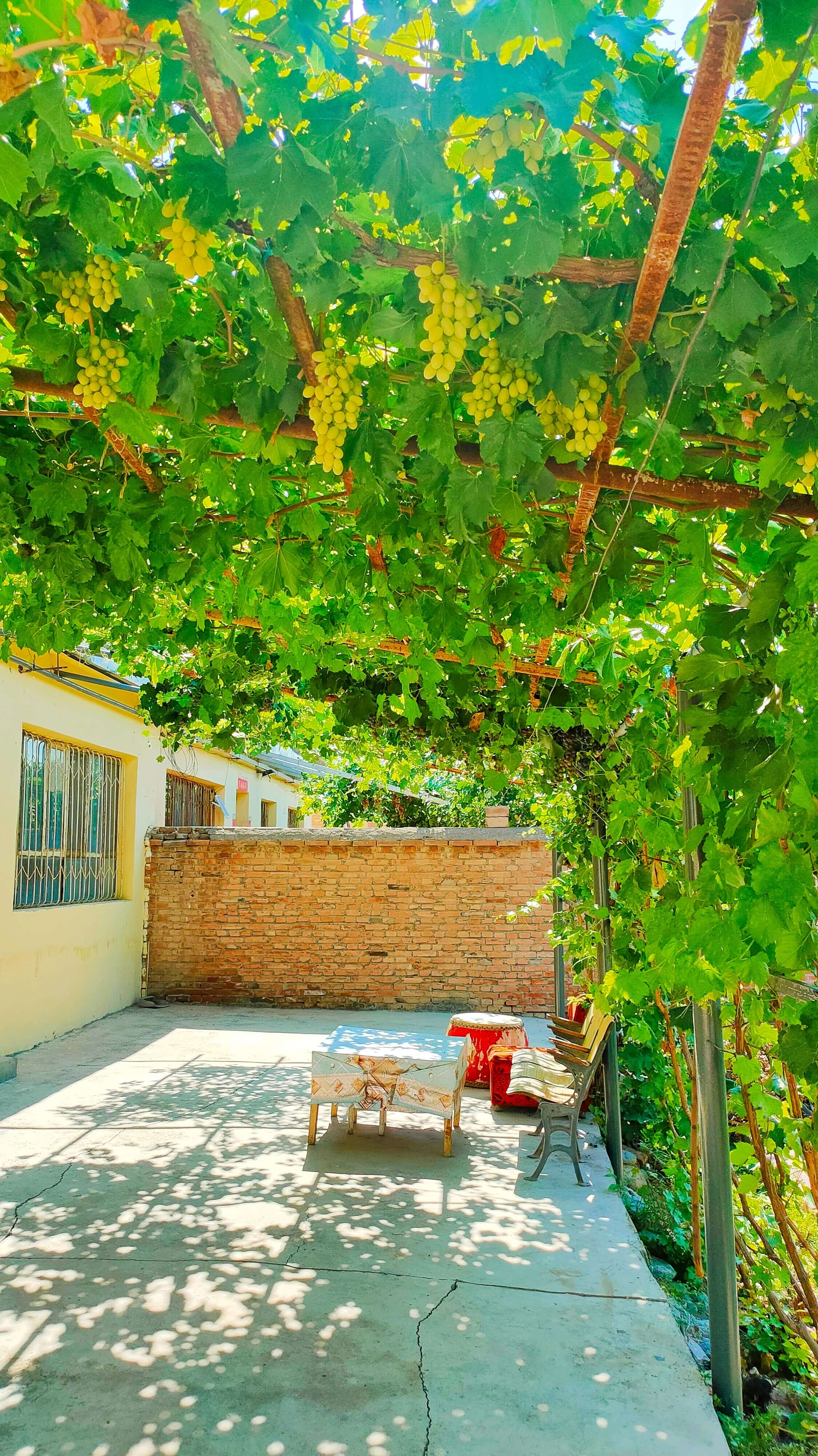 Image Understanding Guide: One Setup for Chat API, Responses API, and Claude API