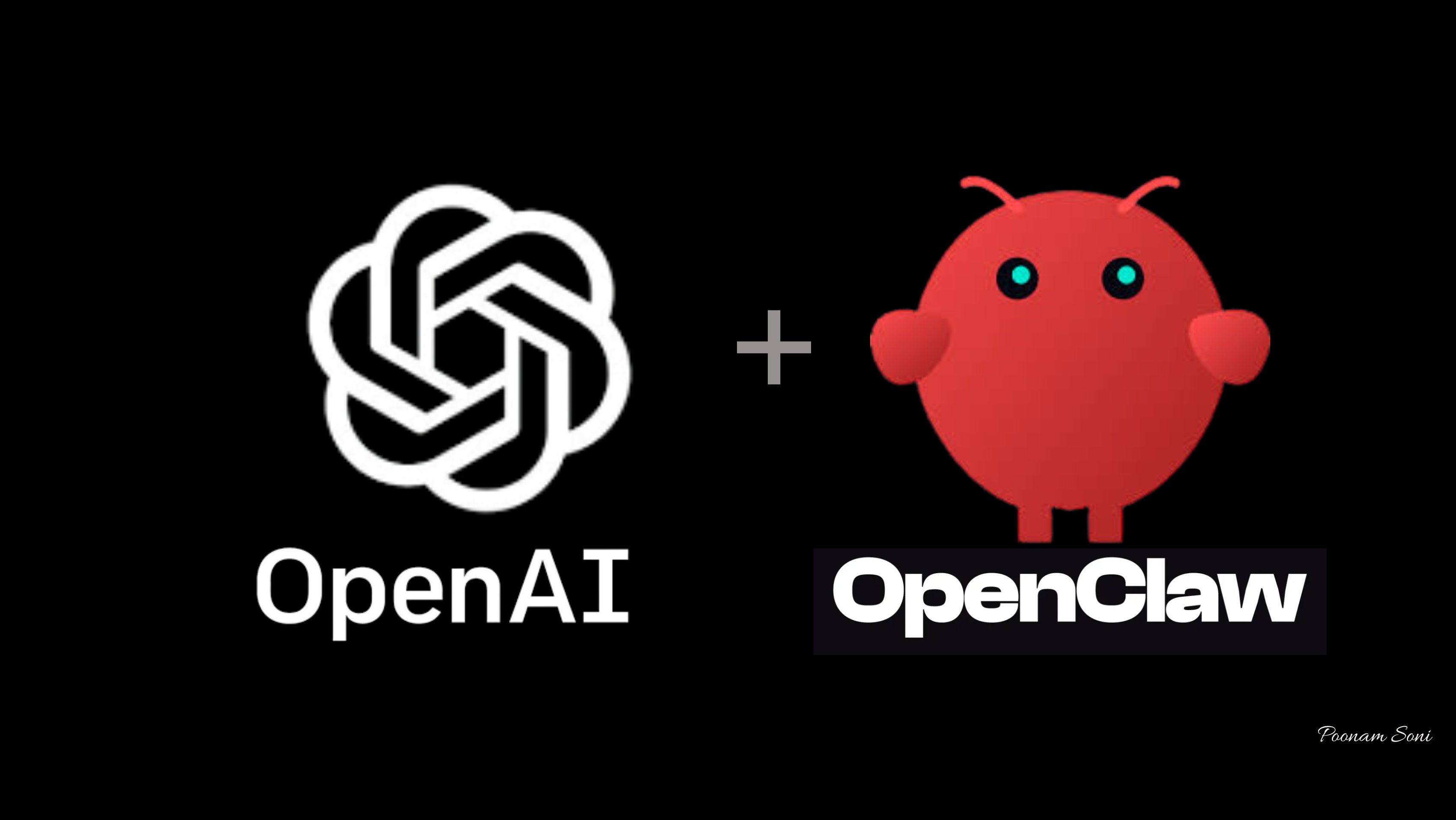 XAI Router Codex Monthly Service: Codex / OpenClaw / OpenCode